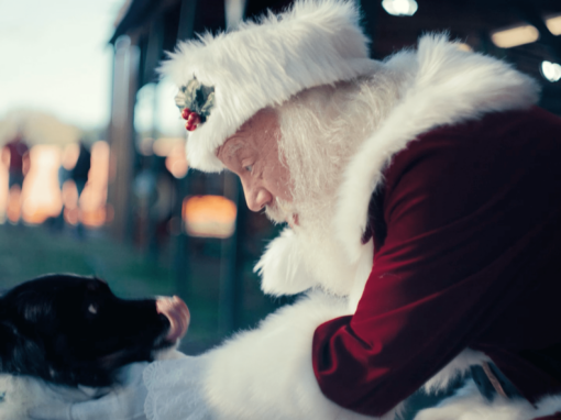 Georgia Farm Bureau  // Christmas Commercial